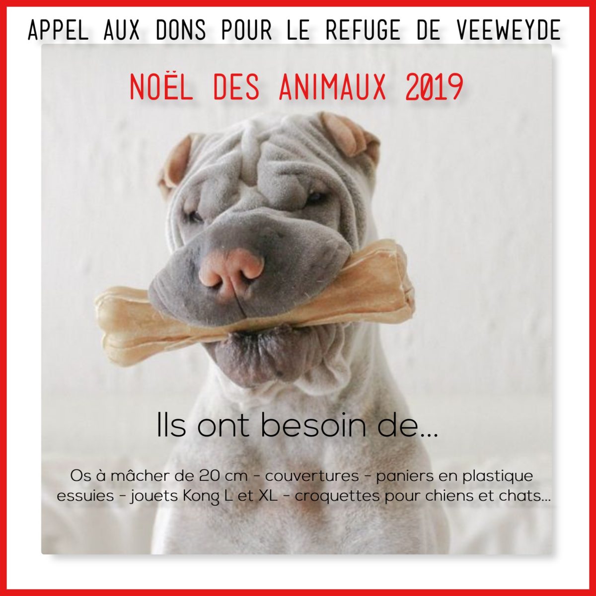 Appel Aux Dons Pour Le Noël Des Animaux Veeweyde